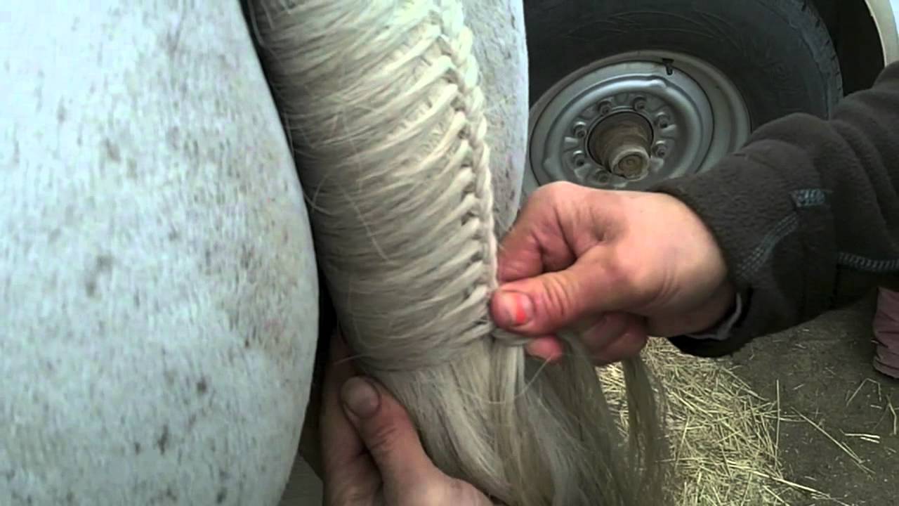 How do you braid a hunters tail?
