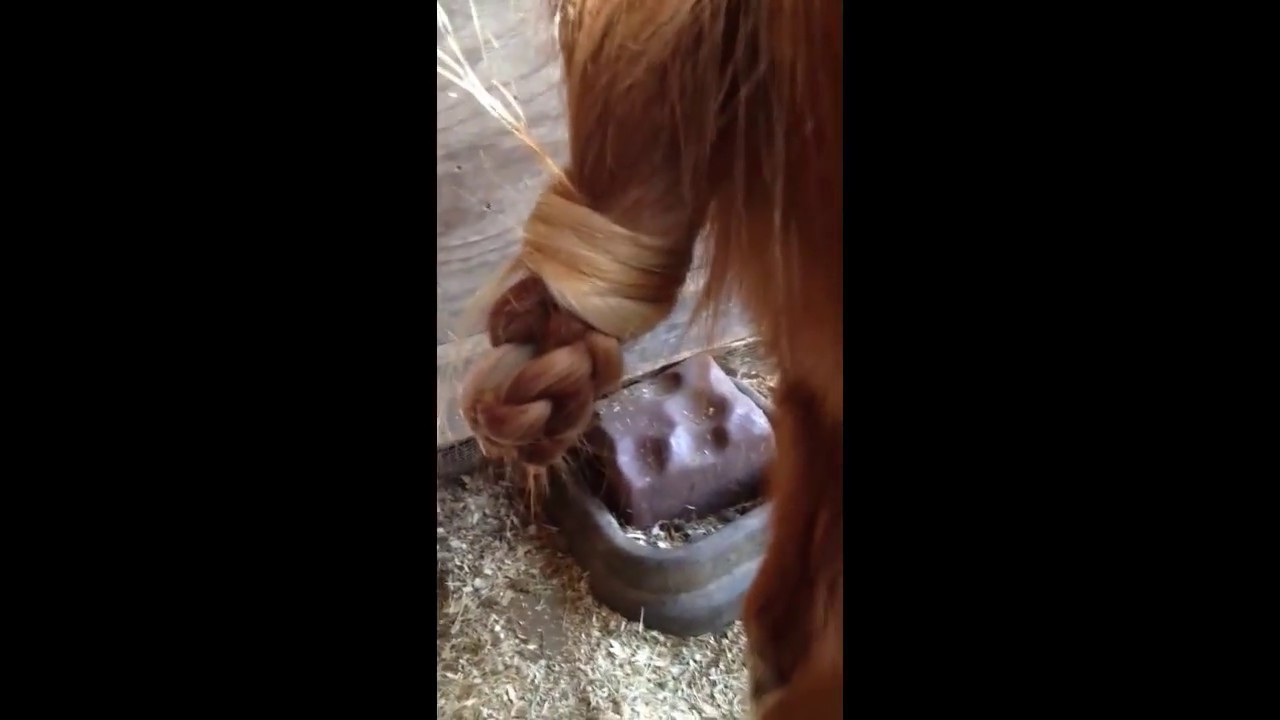 How do you tie a tail not?