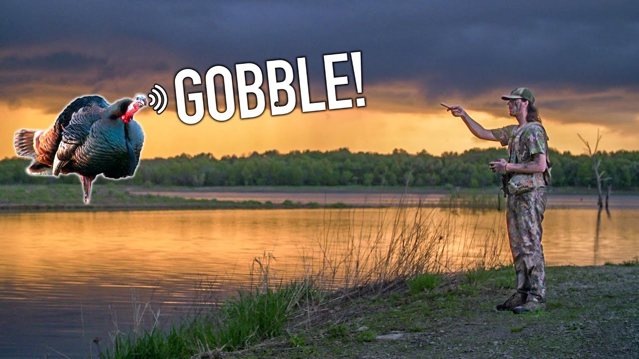 How do you find a turkey in the morning?