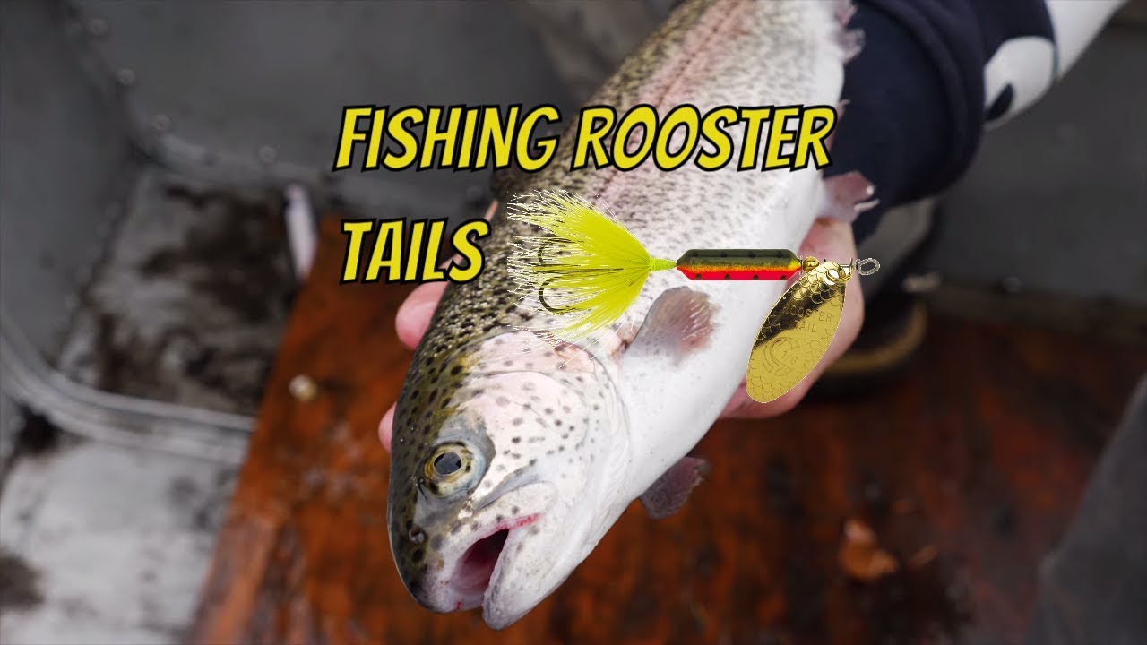 How do you tie a rooster tail?