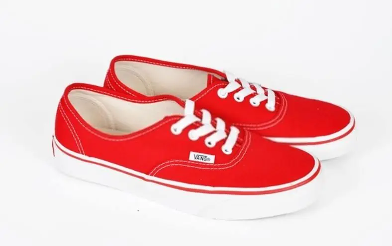 are vans good skate shoes 4