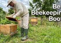 Best Beekeeping Boots: What to Wear in the Apiary (2026)